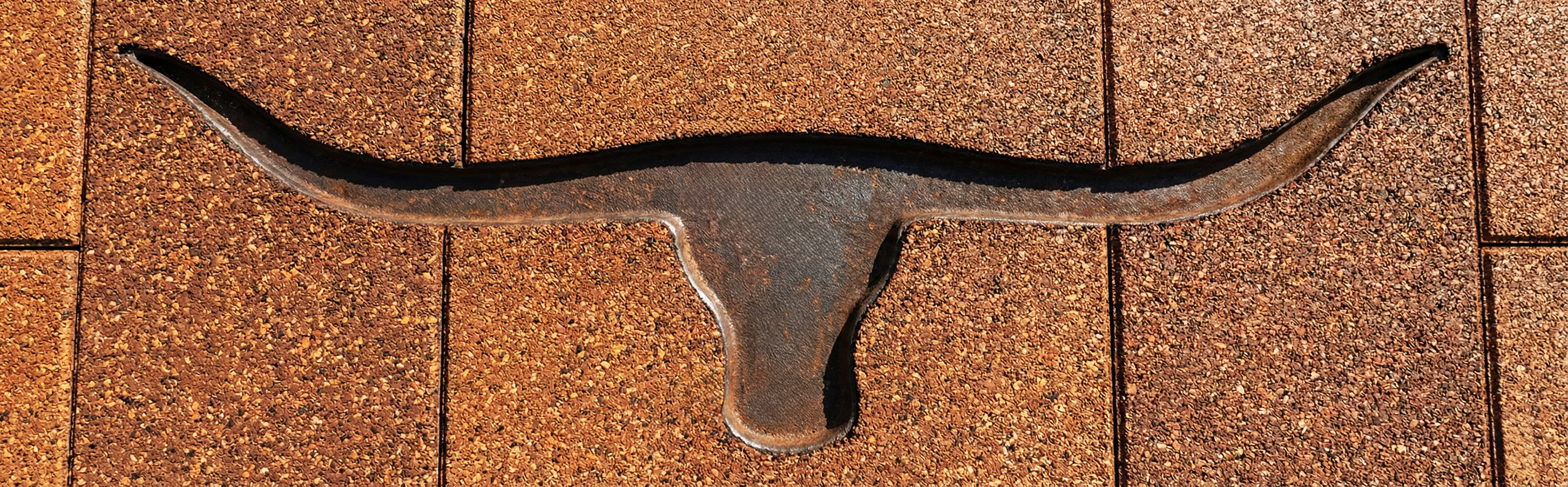 Bullins longhorn logo stamped into rubber surfacing